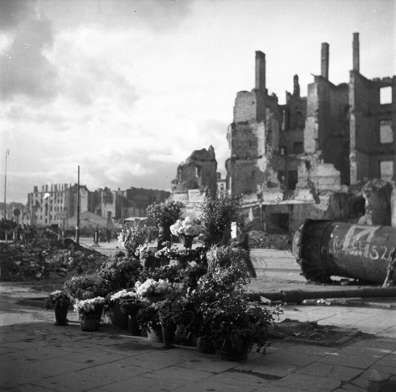 Stoisko z kwiatami na ul. Marszałkowskiej w Warszawie, w głębi ruiny domów